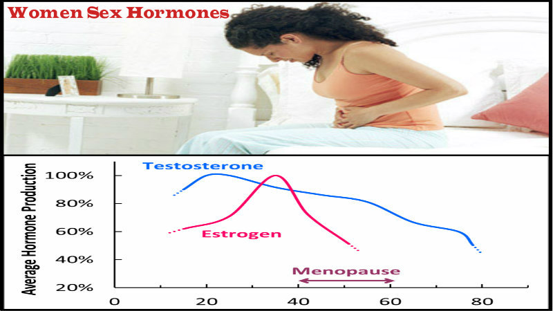 What Are The Female Sex Hormones 98