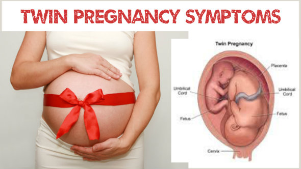 Diagnosticate Twin Pregnancy Symptoms In Your Body