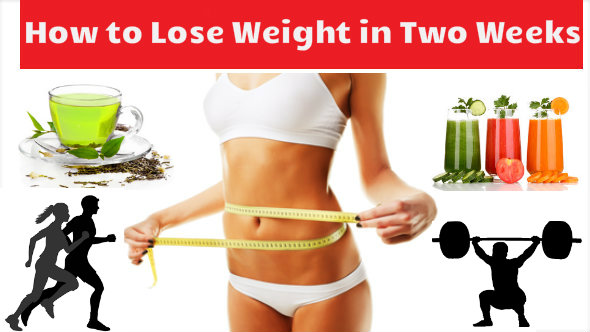 Two Week To Lose Weight