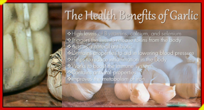 Health-Benefits-of-Garlic