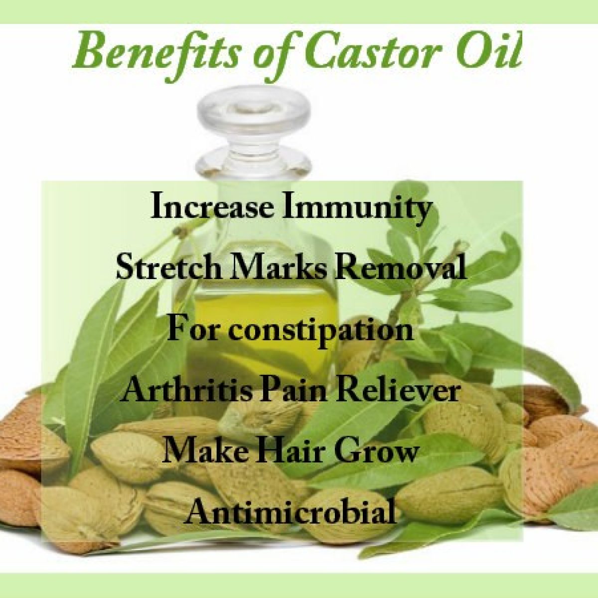 Castor Oil In Hindi ल भ और र ग क न व रण करन म सह यक ह