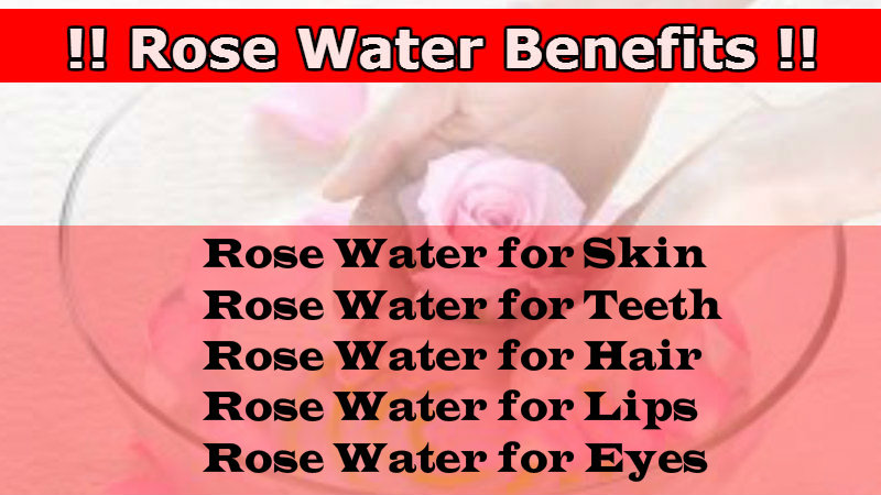 Rose-Water-Benefits