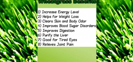 Wheatgrass-Benefits