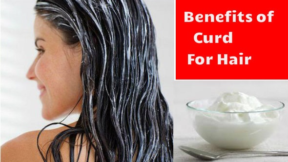Benefits of Curd on Hair