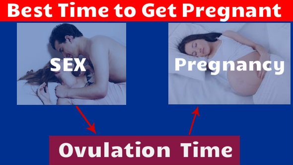 Best Time to Get Pregnant in Hindi