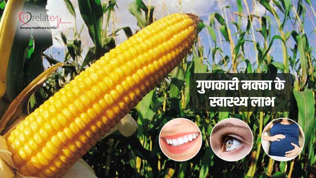 Health Benefits Of Corn मक्का स्वास्थ्य के लिए होता है उपयोगी, जाने