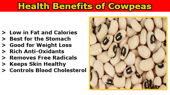 Health Benefits of Cowpeas