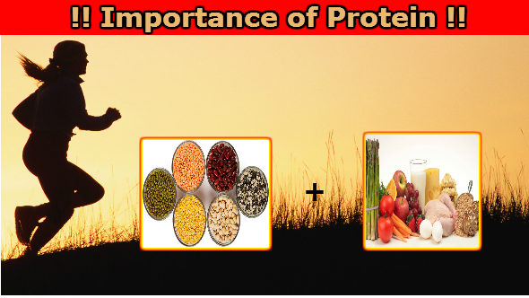 Importance of Protein