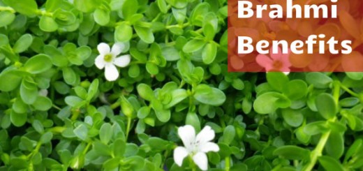 Brahmi Benefits