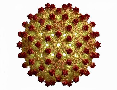 Hepatitis-A