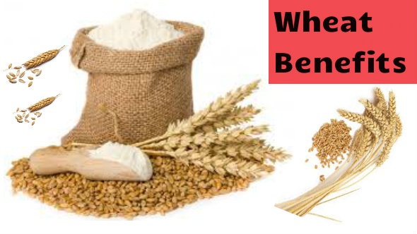 Wheat Benefits
