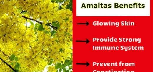 Amaltas-Benefits