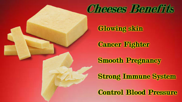 Benefits of Cheese