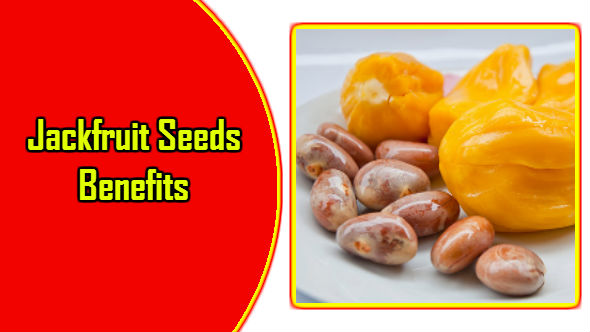 Jackfruit Seed Benefits