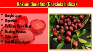 Kokum Benefits in Hindi: Dhero Guno se Bharpur ye Phal