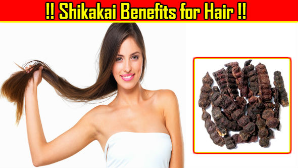 Shikakai Benefits for Hair