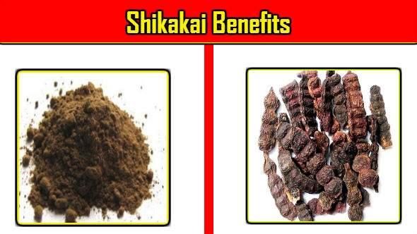Shikakai Benefits