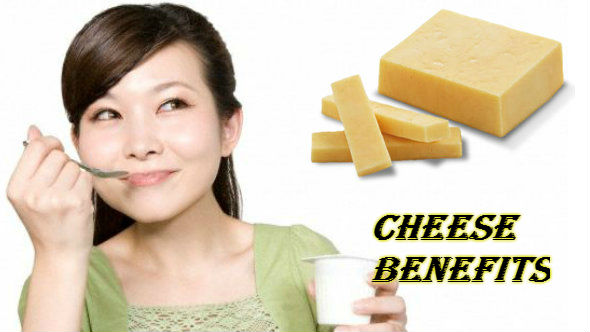 Cheese Benefits