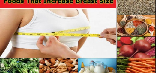 Foods That Increase Breast Size