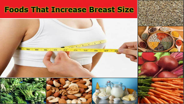 Foods That Increase Breast Size