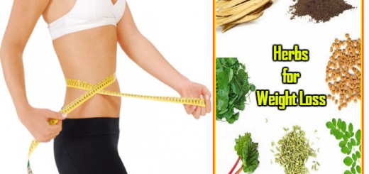 Herbs for Weight Loss in Hindi