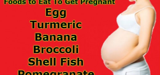 Foods to Eat To Get Pregnant