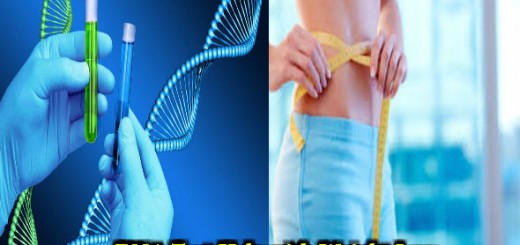 DNA-Weight Loss
