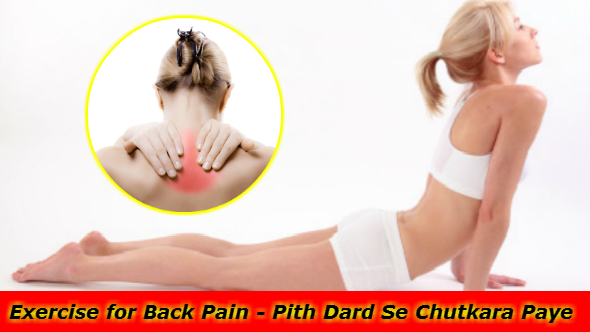 Exercise for Back Pain