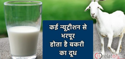Goat Milk Benefits