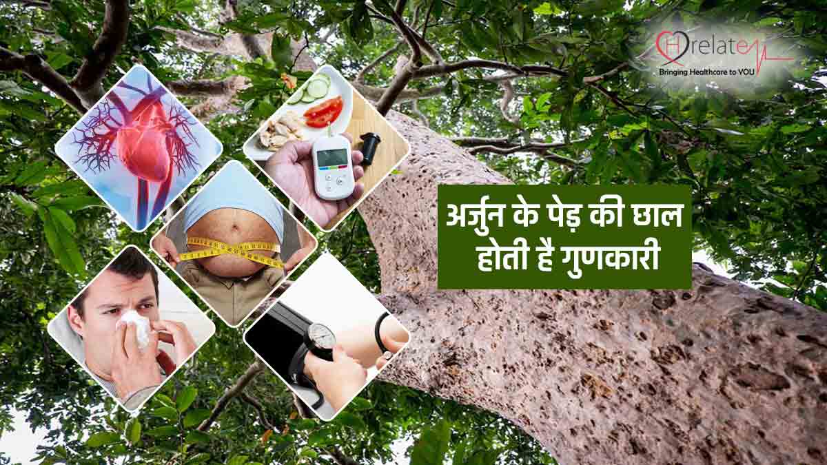 Arjun Tree Benefits