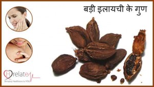 Black Cardamom Benefits in Hindi: Badi Elaichi ke Swasth Labh