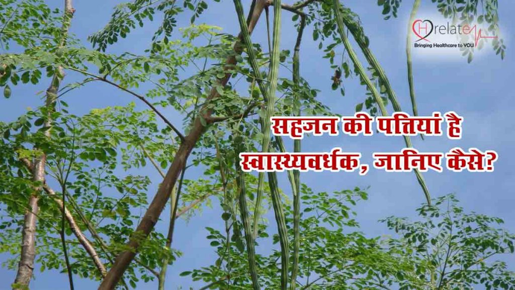 Sahjan Ki Patti Ke Fayde सहजन के पत्ते आपकी सेहत के लिए है काफी फ़ायदेमंद